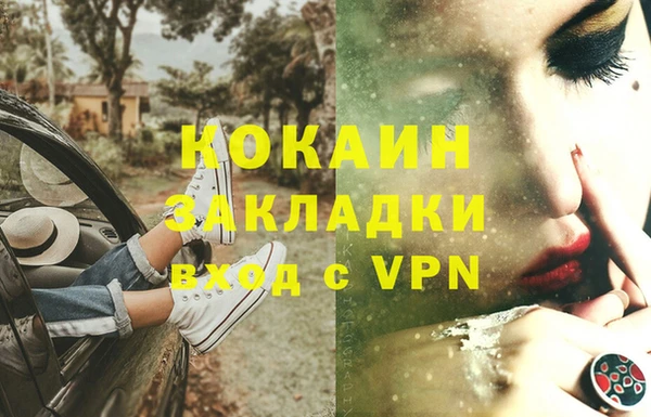 не бодяженный Бородино