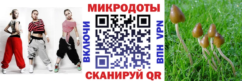цены   OMG ссылки  Псилоцибиновые грибы мухоморы  Рузаевка 